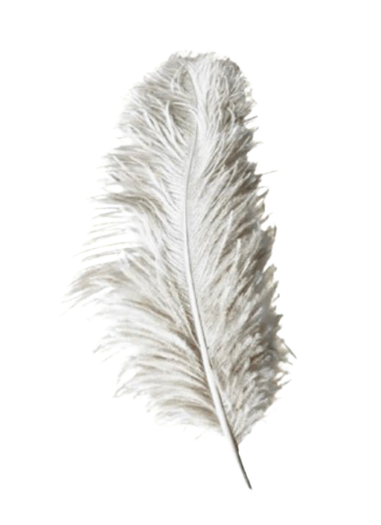 feather